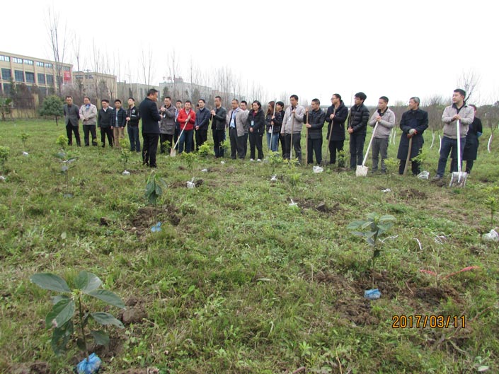 万利官网-不凡成就非凡,相信品牌力量